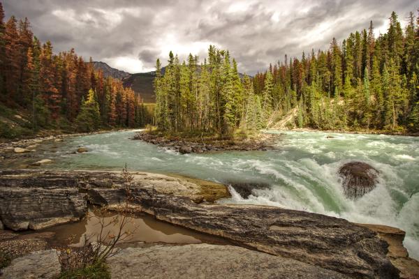 Sunwapta Falls